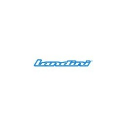 Pompa sprzęgła Landini Massey Ferguson 1613986M4