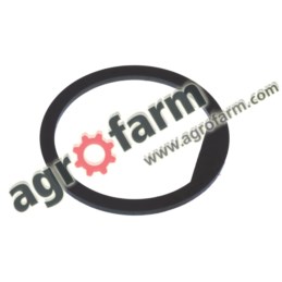 THRUST WASHER CARRARO