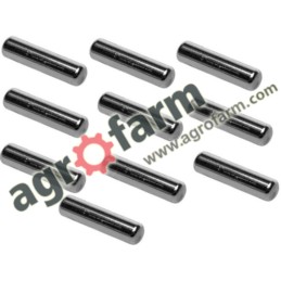 NEEDLE BEARING - L. 19.8 MM - 10 PCS