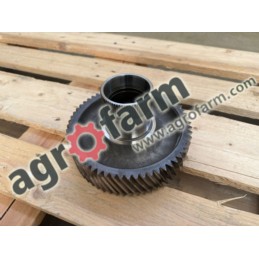 Koło zębate Z61 Massey Ferguson