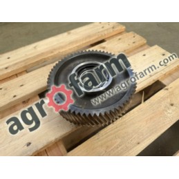 Koło zębate Z61 Massey Ferguson