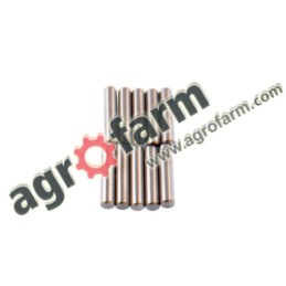 NEEDLE BEARING SET 10 PCS FWD, CNH