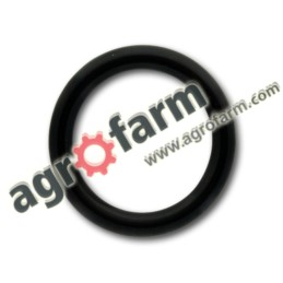 ORING MASSEY FERGUSON 3010466X1