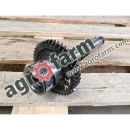 Wałek Z44 + Koło zębate Z43 Deutz-Fahr Agrotron