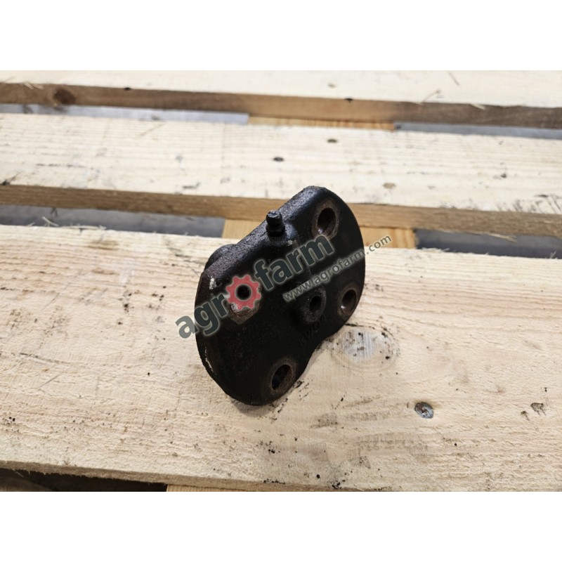 Sworzeń zwrotnicy górny  Renault Ceres 335