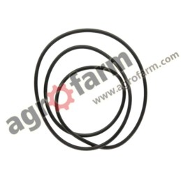 O-RING DYNASHIFT MASSEY FERGUSON