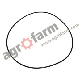 GEARBOX O-RING MASSEY FERGUSON