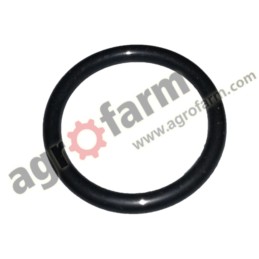 GEARBOX O-RING MASSEY FERGUSON