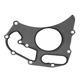 WATER PUMP GASKET MASSEY FERGUSON, LANDINI ORIG