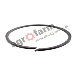 SEAL RING MF 1611675M1