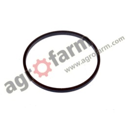 Basket ring CASE, LANDINI, MCCORNICK 1995100C1