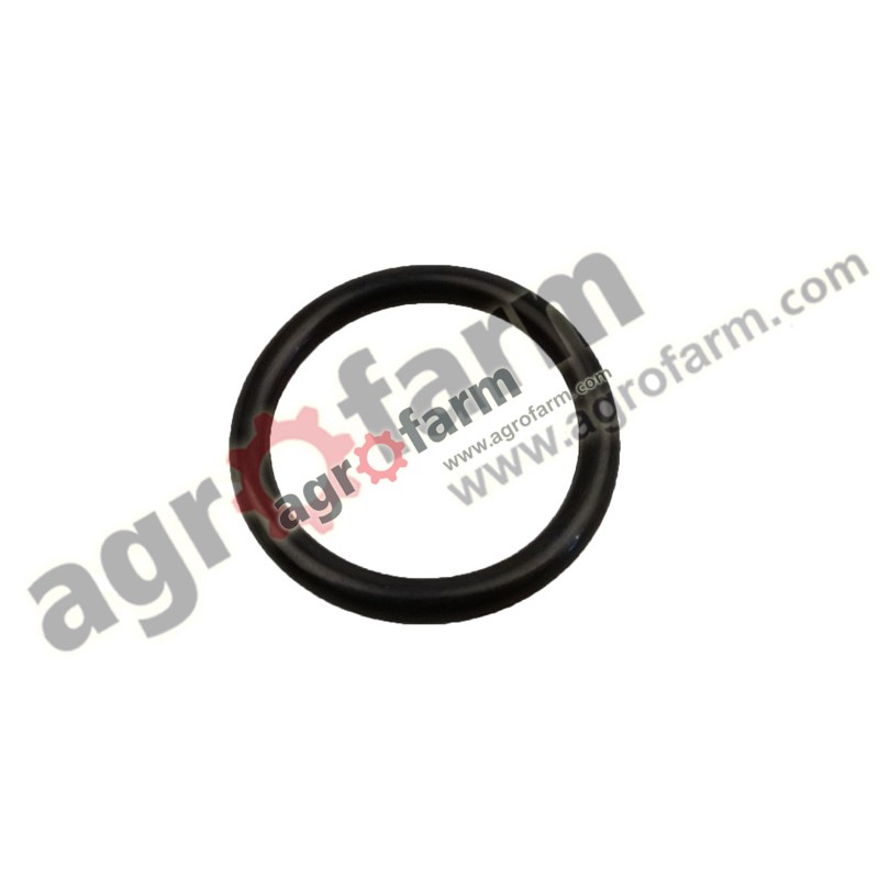 ORING CNH, LANDINI