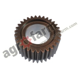 SATELLITE GEAR Z 31 CARRARO