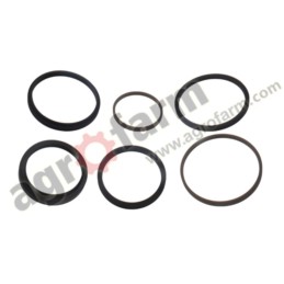 SLAVE CYLINDER REPAIR KIT MASSEY