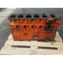 Blok silnika Renault mwm 981