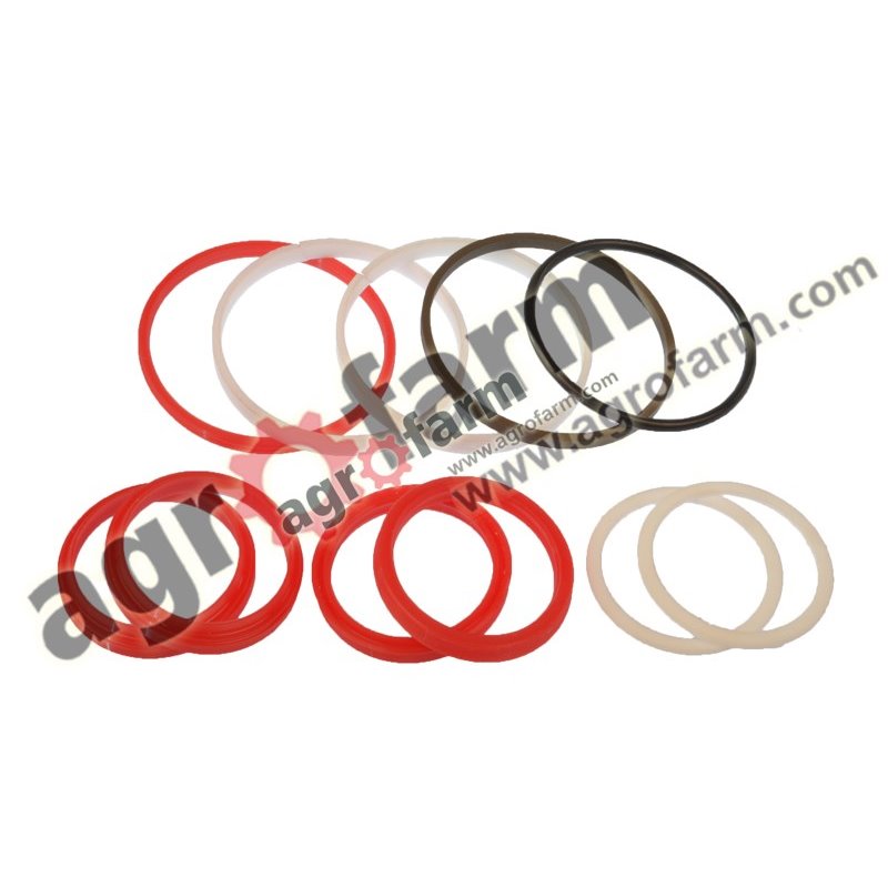 STEERING CYLINDER REPAIR KIT CASE, MASSEY FERGUSON