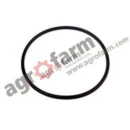 ORING WAŁKA PTO WOM MASSEY FERGUSON 1610254M1