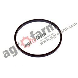 Basket ring CASE, LANDINI, MCCORNICK 1995100C1