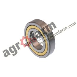 CYLINDRICAL ROLLER BEARING SINGLE ROW