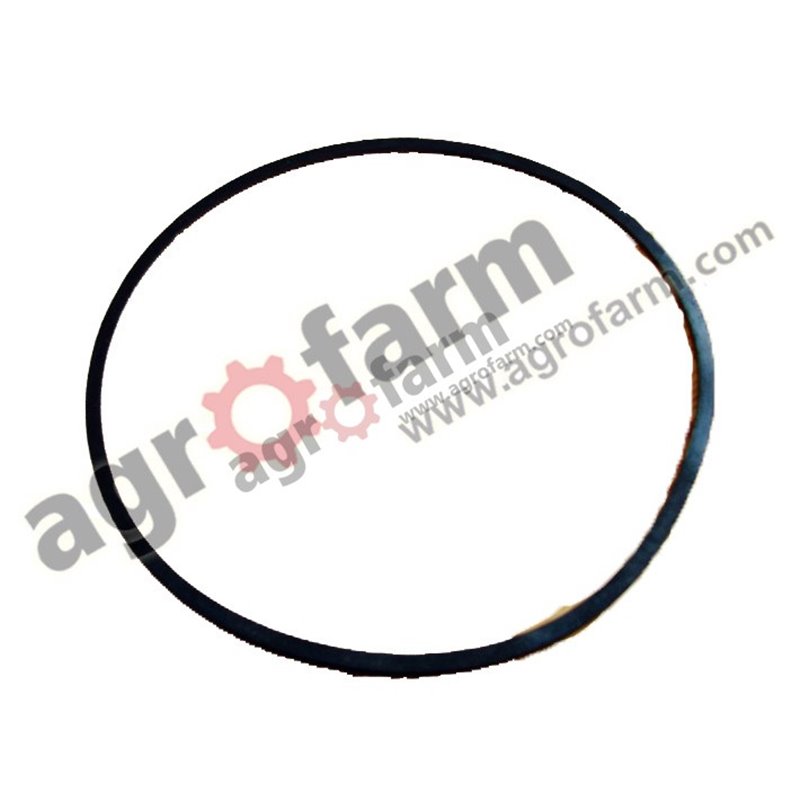 ORING , USZCZELNIACZ CASE 401724R1