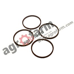 CASESEALING RING, MCCORMICK 4 PIECES