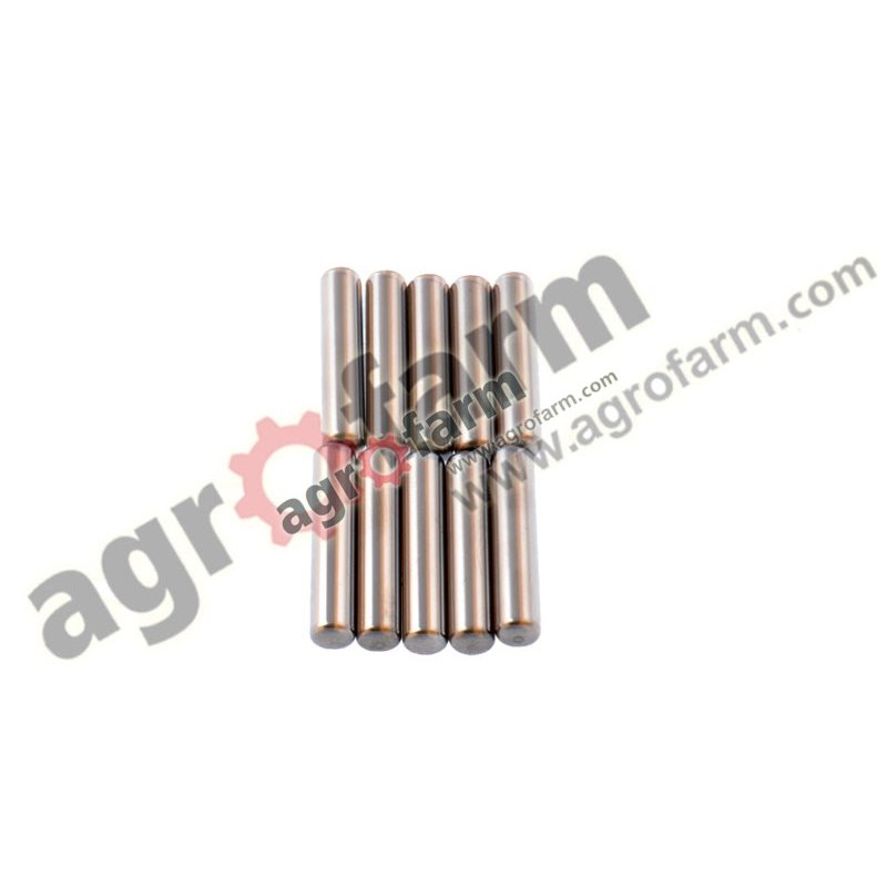 NEEDLE BEARING SET 10 PCS FWD, CNH