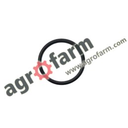 ORING FENDT